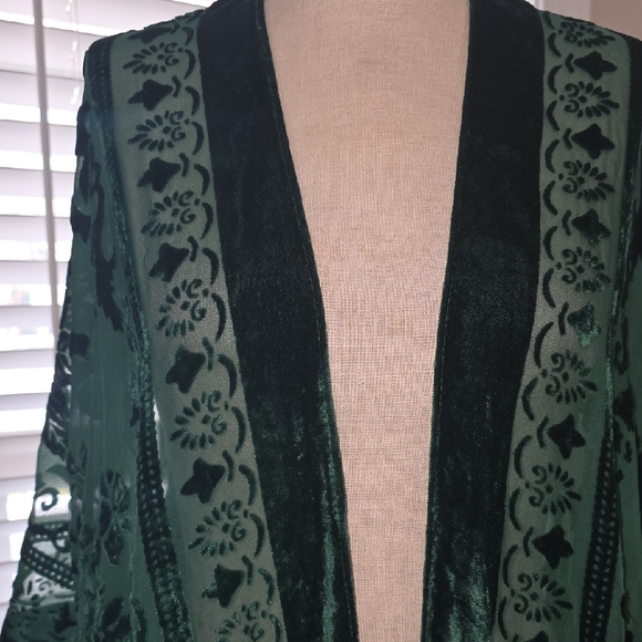 Angie Deep Green Sheer Kimono - Picture 6 of 9